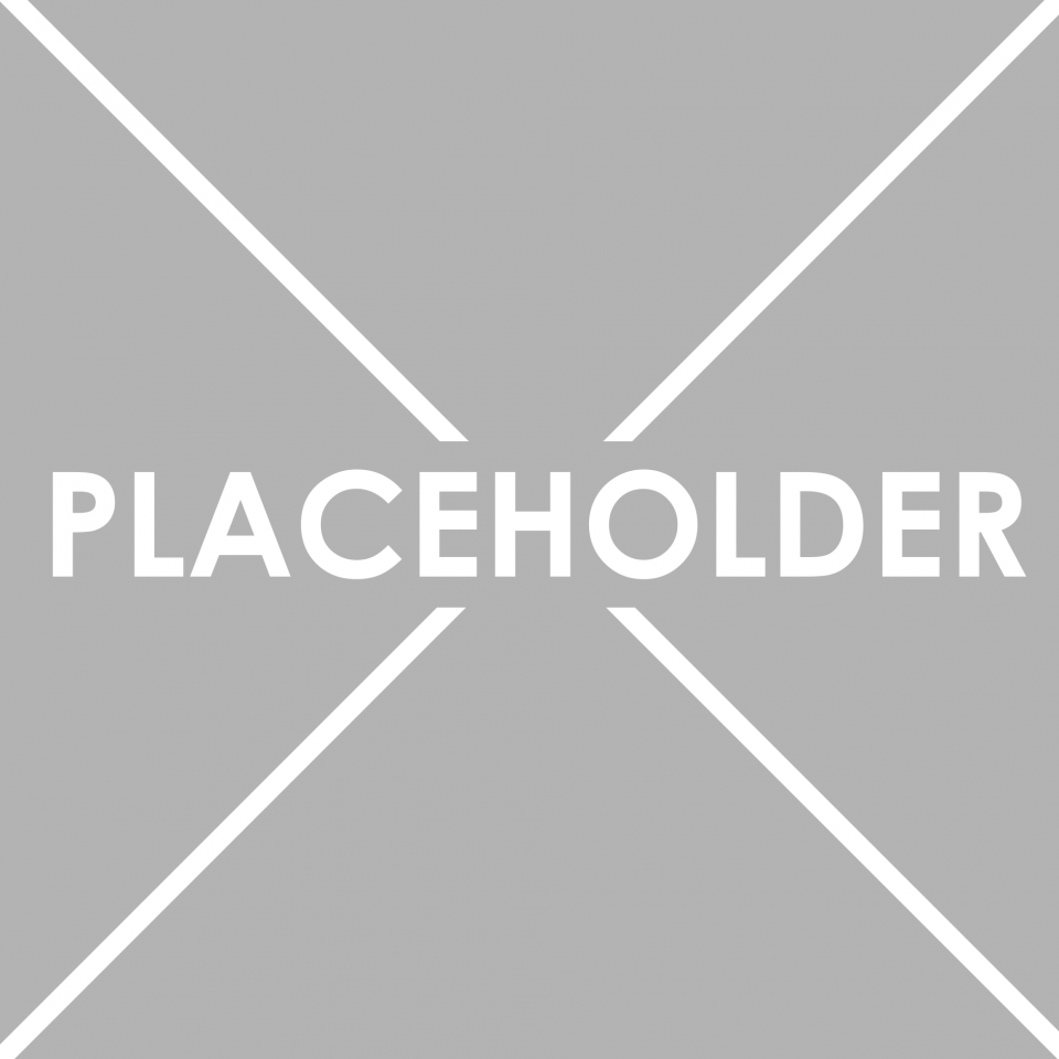 placeholder-1-e1533569576673-960x960.png